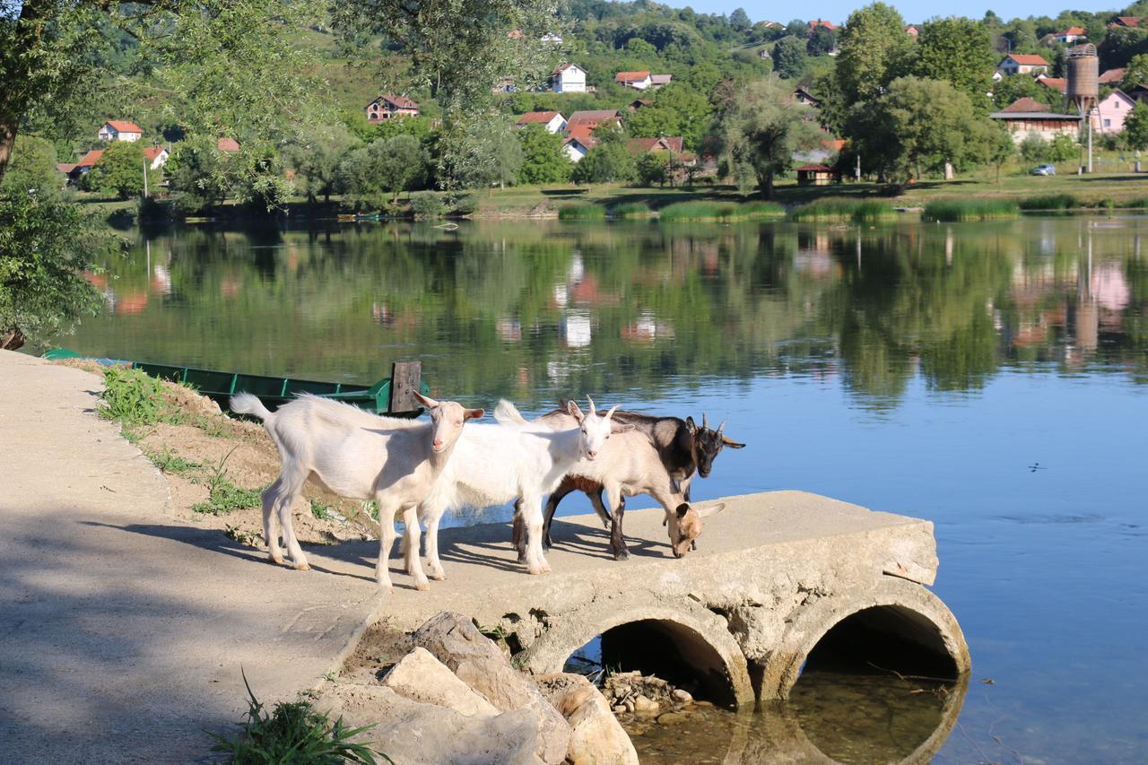 Homes Piralo * Kostajnica
